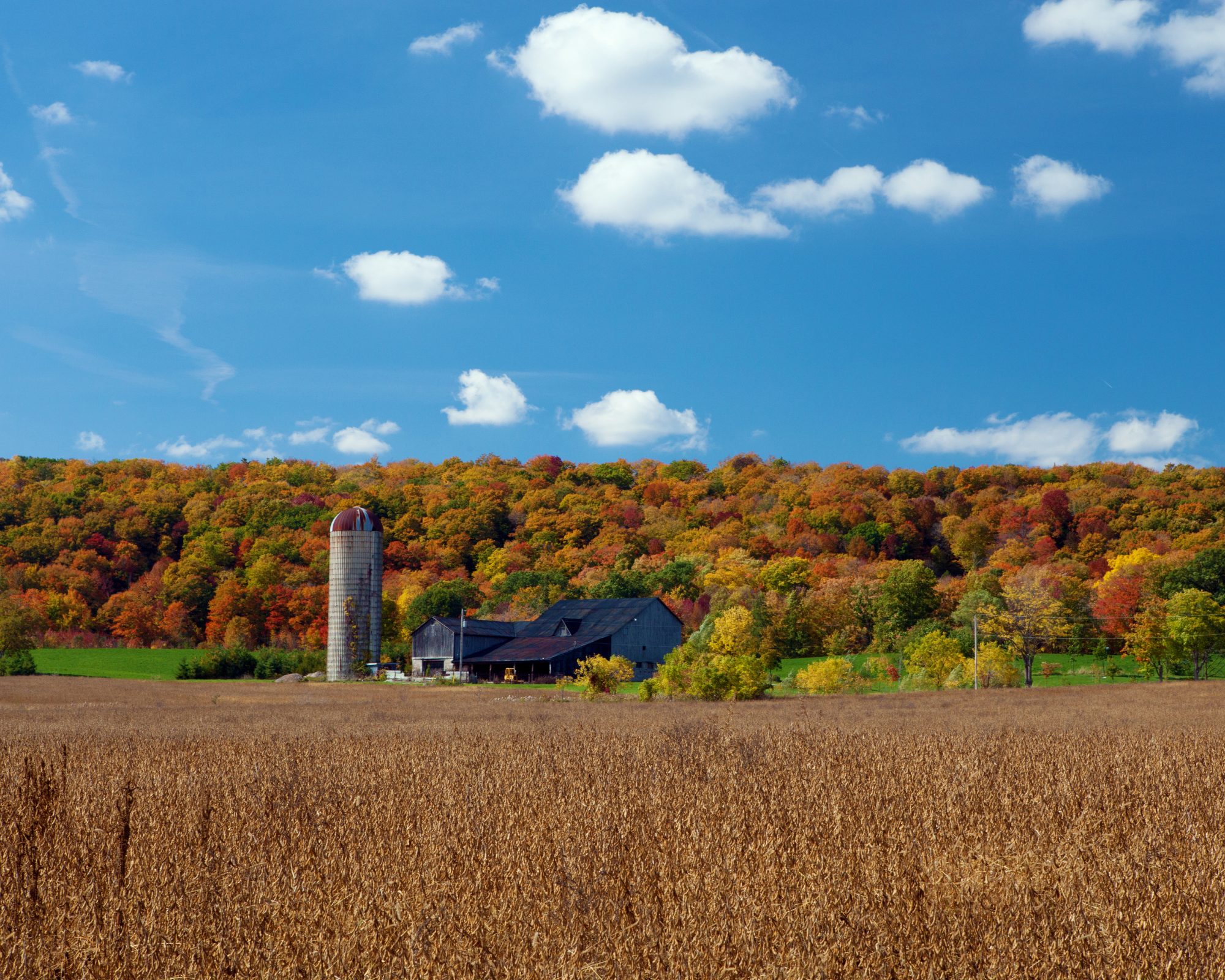 Milton farm in autumn with trees and fields